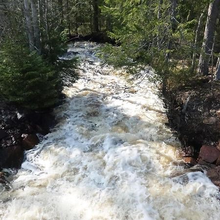 Ekesberget Stugby Retro Stuga 9 Ekshärad エクステリア 写真