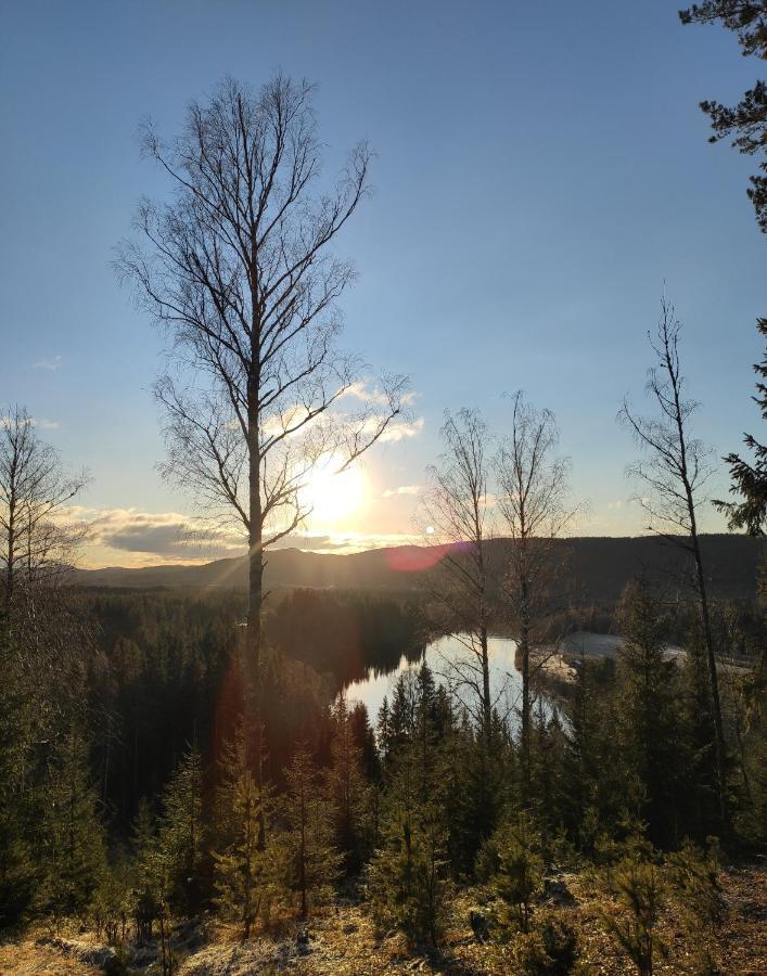 Ekesberget Stugby Retro Stuga 9 Ekshärad エクステリア 写真